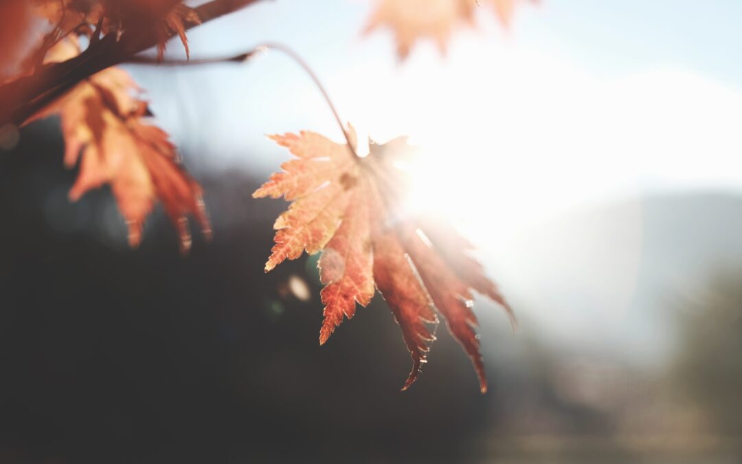 Episode 39: Unexpected Gratitude